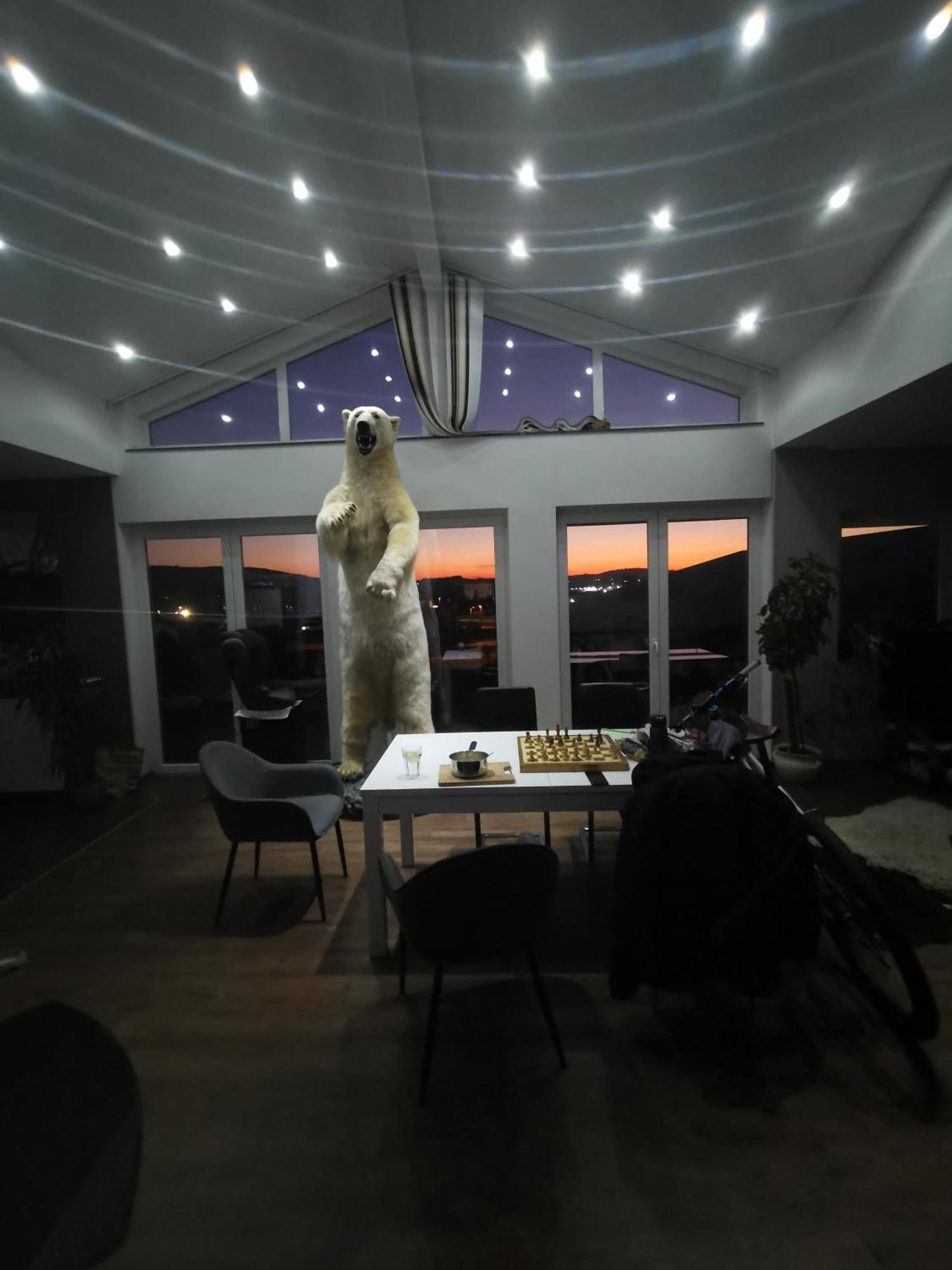 Haus Mit Schoener Aussicht Wg Münsingen 部屋 写真